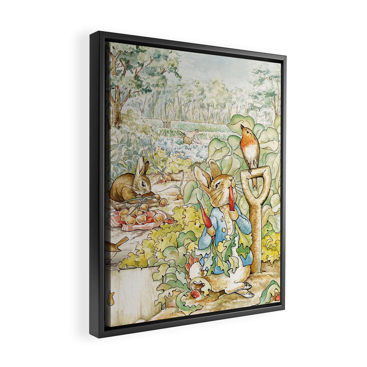 Peter the rabbit  Framed Canvas Print Gallery Image 2