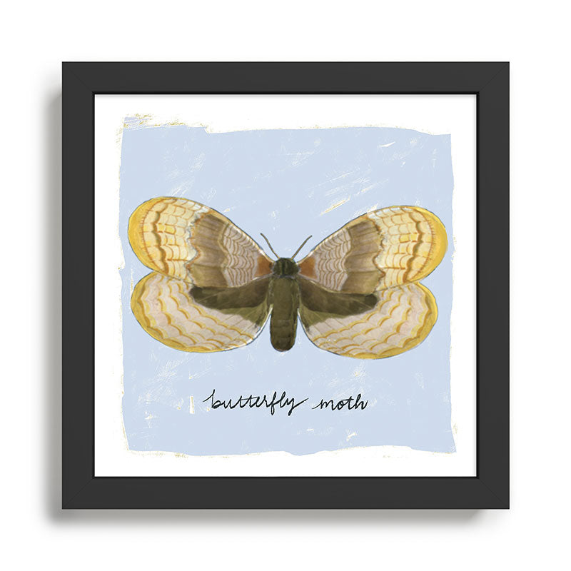 Butterfly Moth on Soft Sky Framed Art Print Gallery Image 1