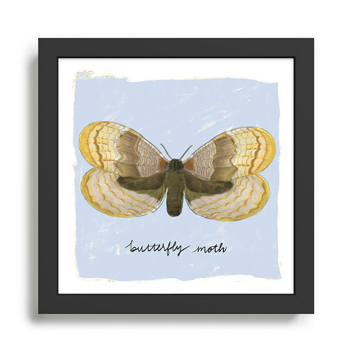 Butterfly Moth on Soft Sky Framed Art Print Gallery Image 1