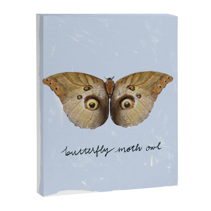 Vintage Butterfly Moth Owl on Soft Sky  Canvas Print Gallery Image 1
