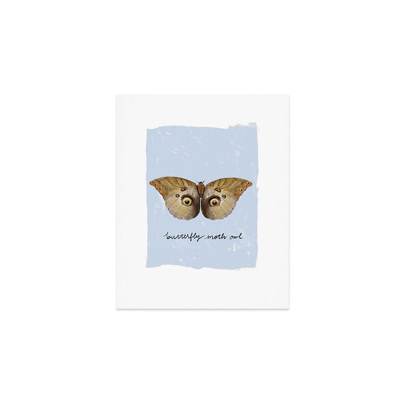 Vintage Butterfly Moth Owl on Soft Sky  Art Print Gallery Image 1