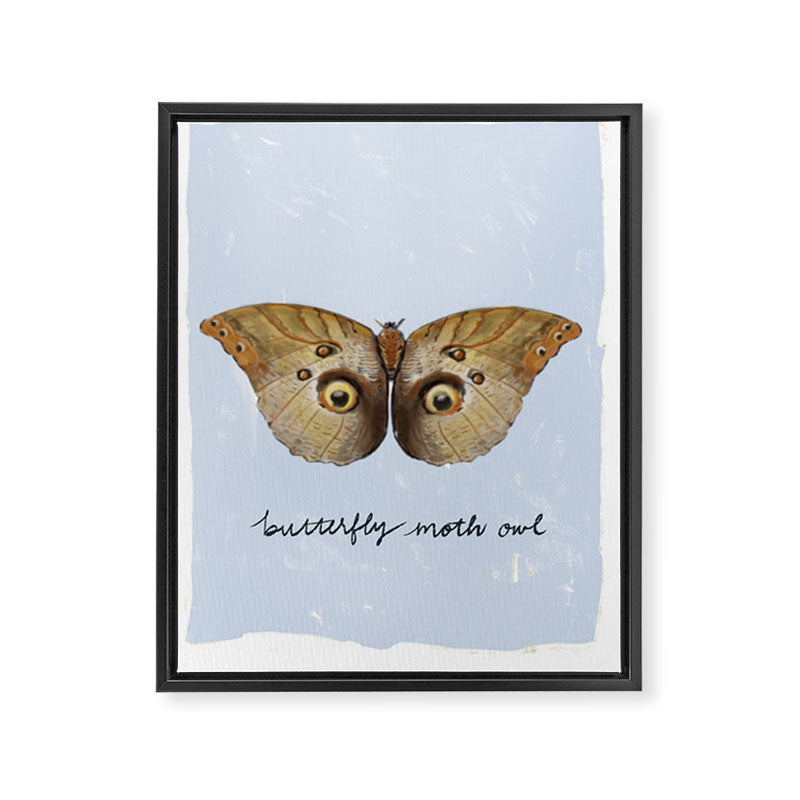 Vintage Butterfly Moth Owl on Soft Sky  Framed Canvas Print Gallery Image 3