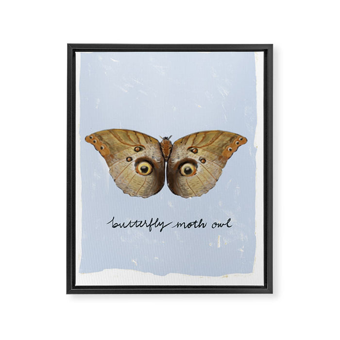 Vintage Butterfly Moth Owl on Soft Sky  Framed Canvas Print Gallery Image 1