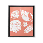 Shells . Coral Framed Canvas Print Gallery Image 8
