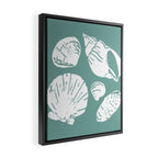 Shells . Teal Framed Canvas Print Gallery Image 2