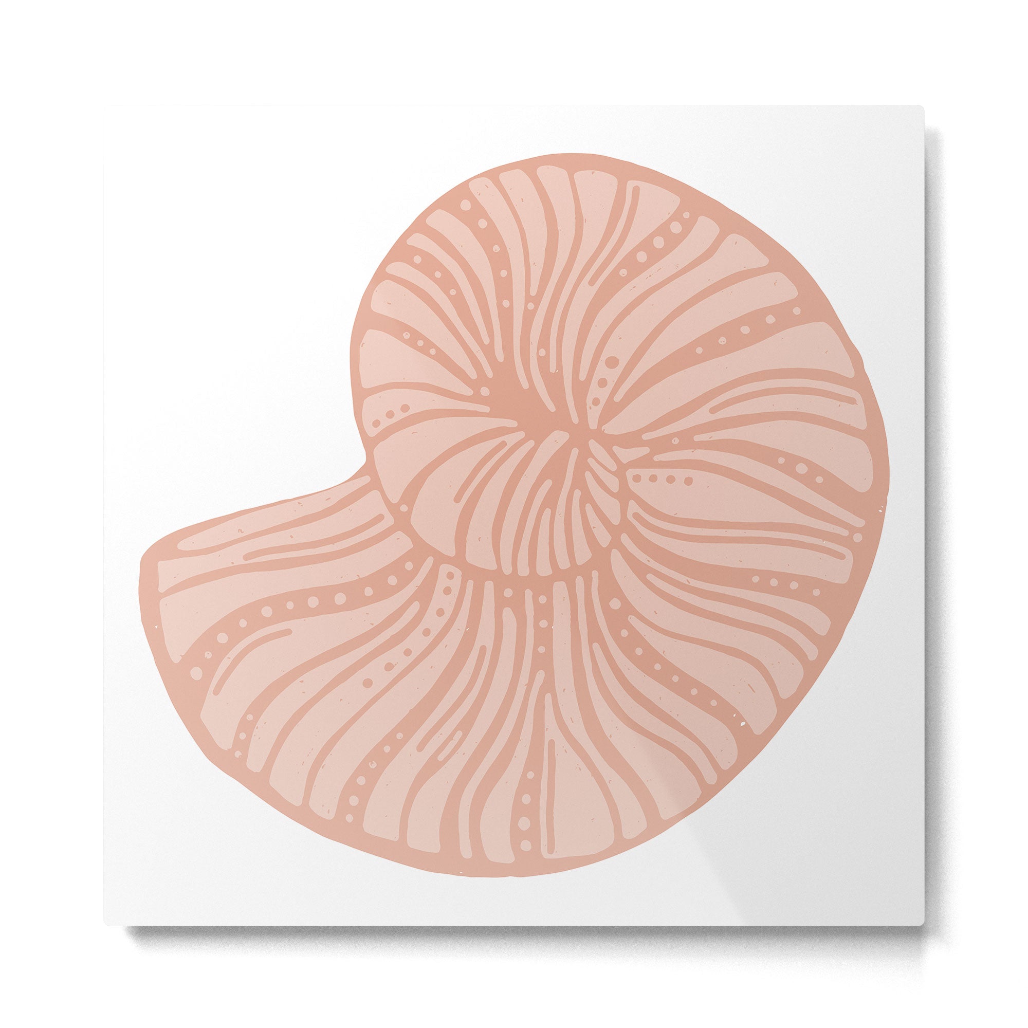 Spiral shell 2 of 4 Metal Print Gallery Image 2