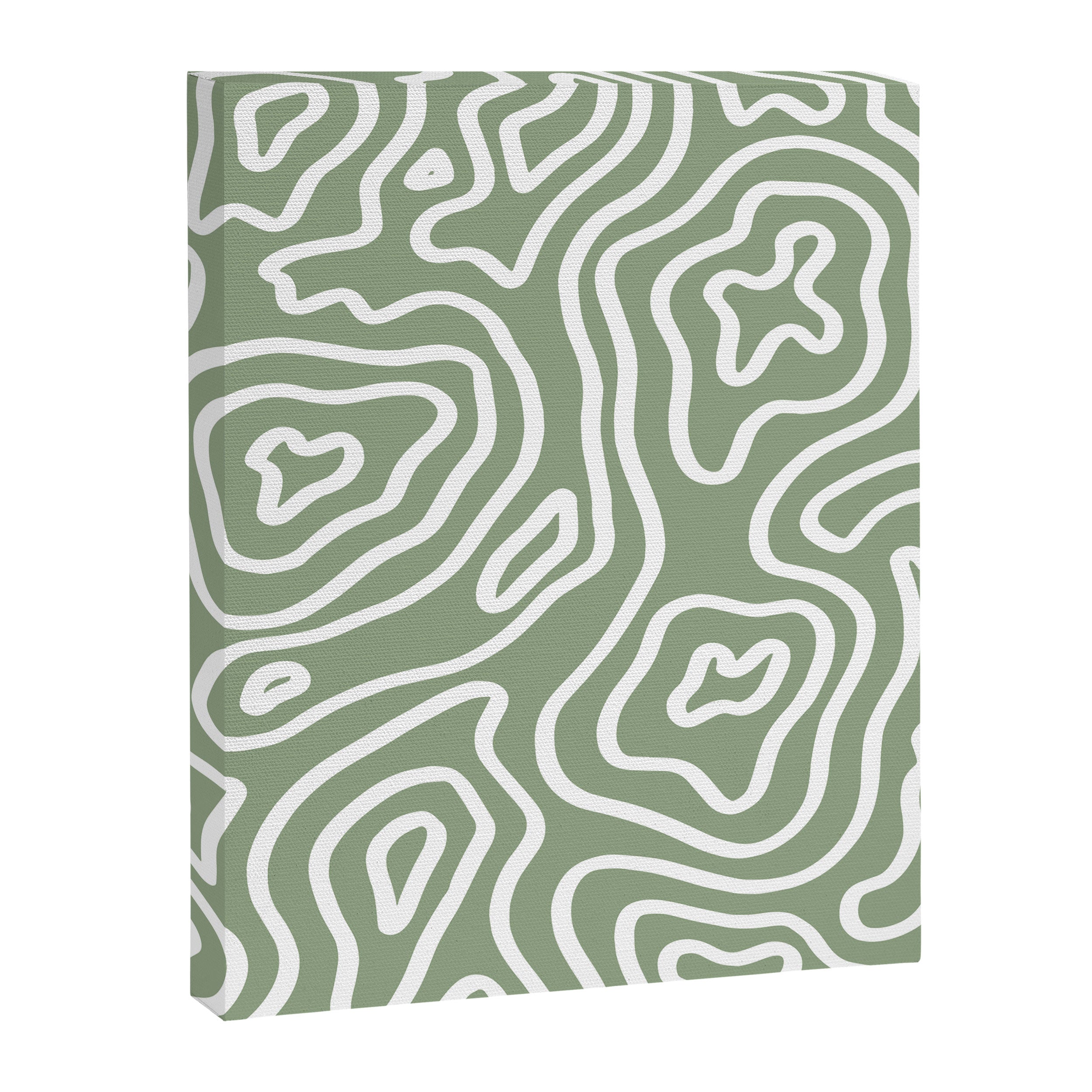 Topographic Abstract | Sage Canvas Print Gallery Image 8