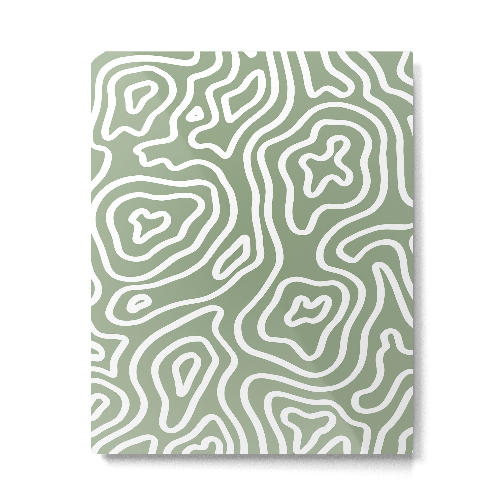 Topographic Abstract | Sage Metal Print Gallery Image 6