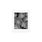 Black and White Poppies Art Print Gallery Image 1