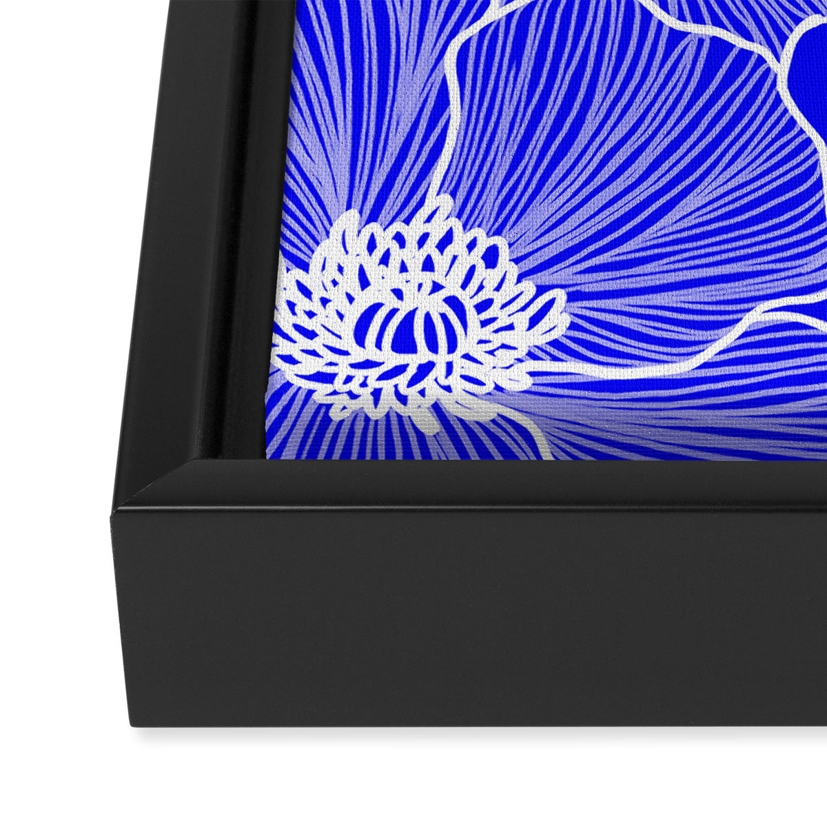 Cobalt Poppies Framed Canvas Print Gallery Image 3