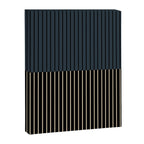 Color Block Lines XVII Canvas Print Gallery Image 8