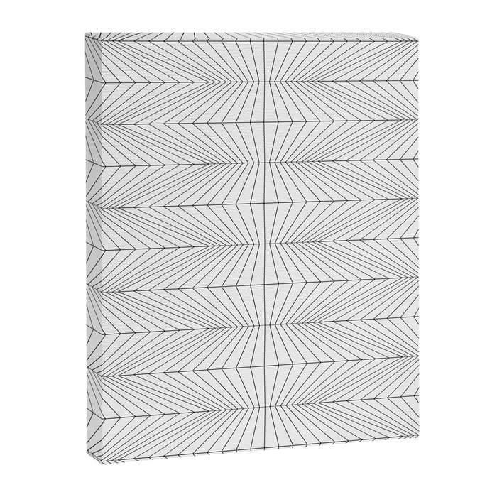 Geometric Angular Lines Pattern XIII Canvas Print Gallery Image 1