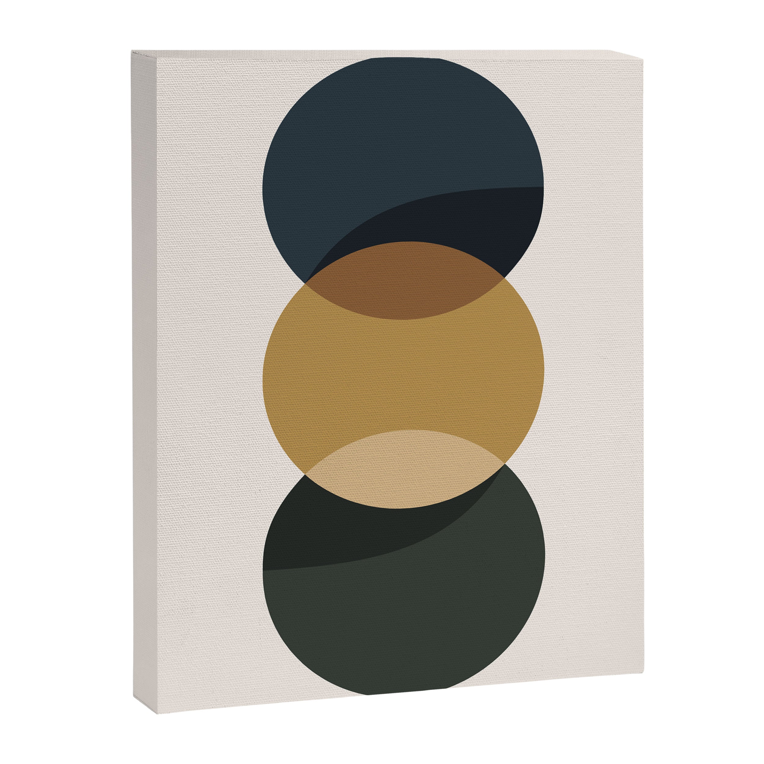Geometric Harmony V Canvas Print Gallery Image 6