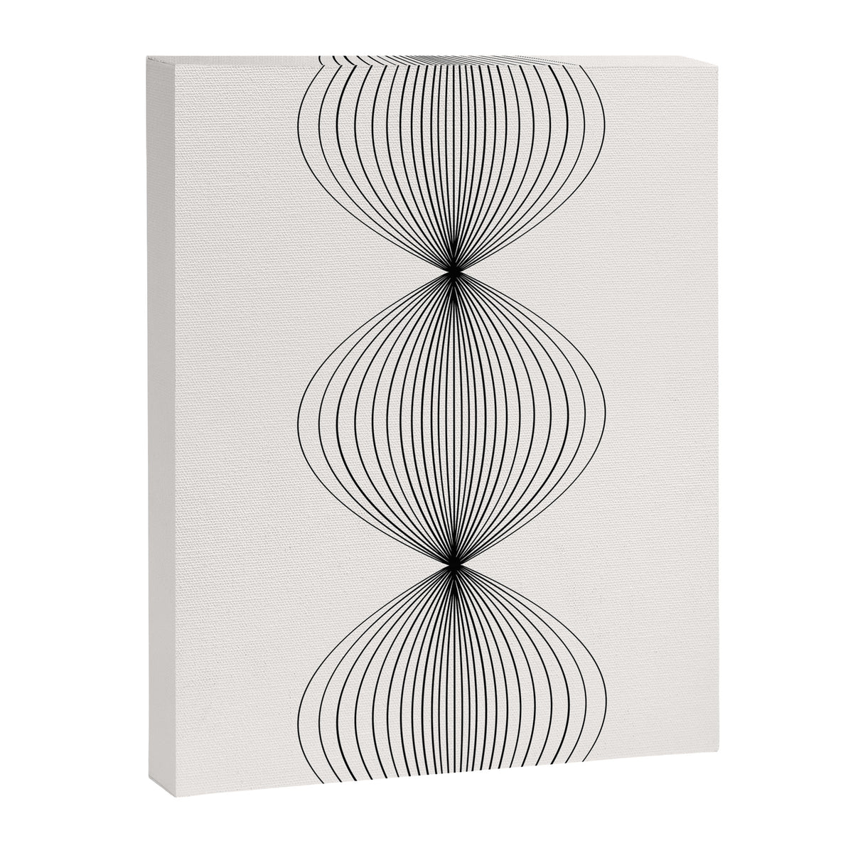 Geometric Orb Shapes - Black and White Canvas Print Gallery Image 6