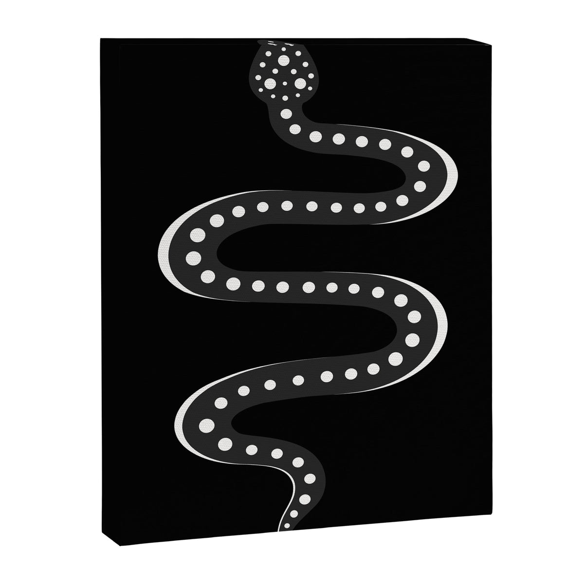 Minimal Snake XV Canvas Print Gallery Image 6