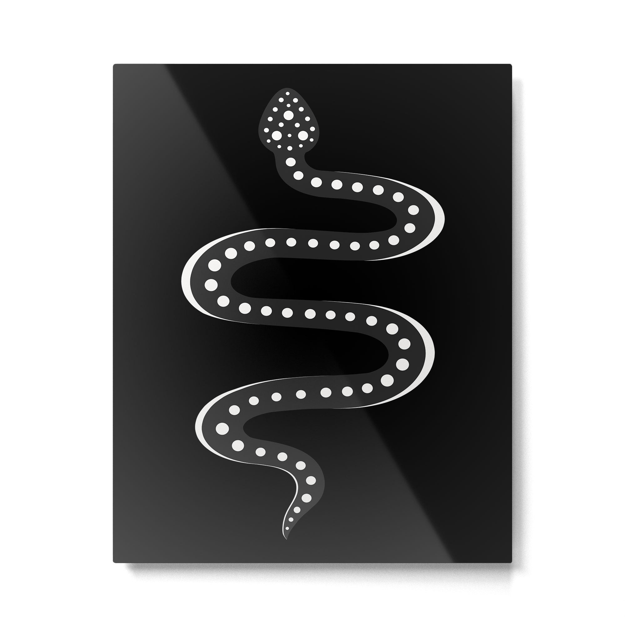 Minimal Snake XV Metal Print Gallery Image 4