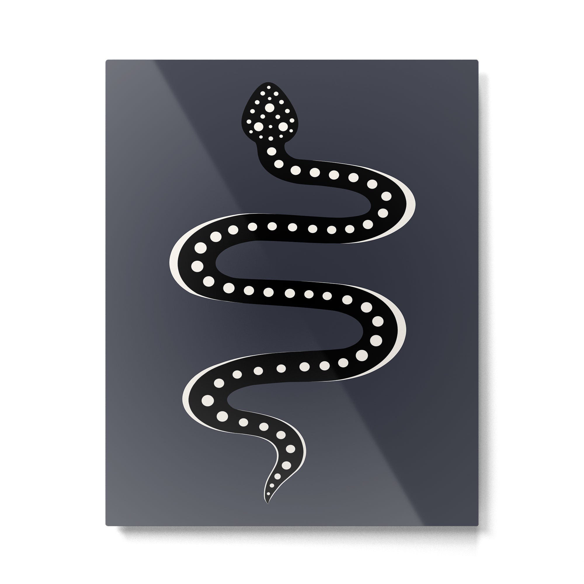 Minimal Snake XXVII Metal Print Gallery Image 4