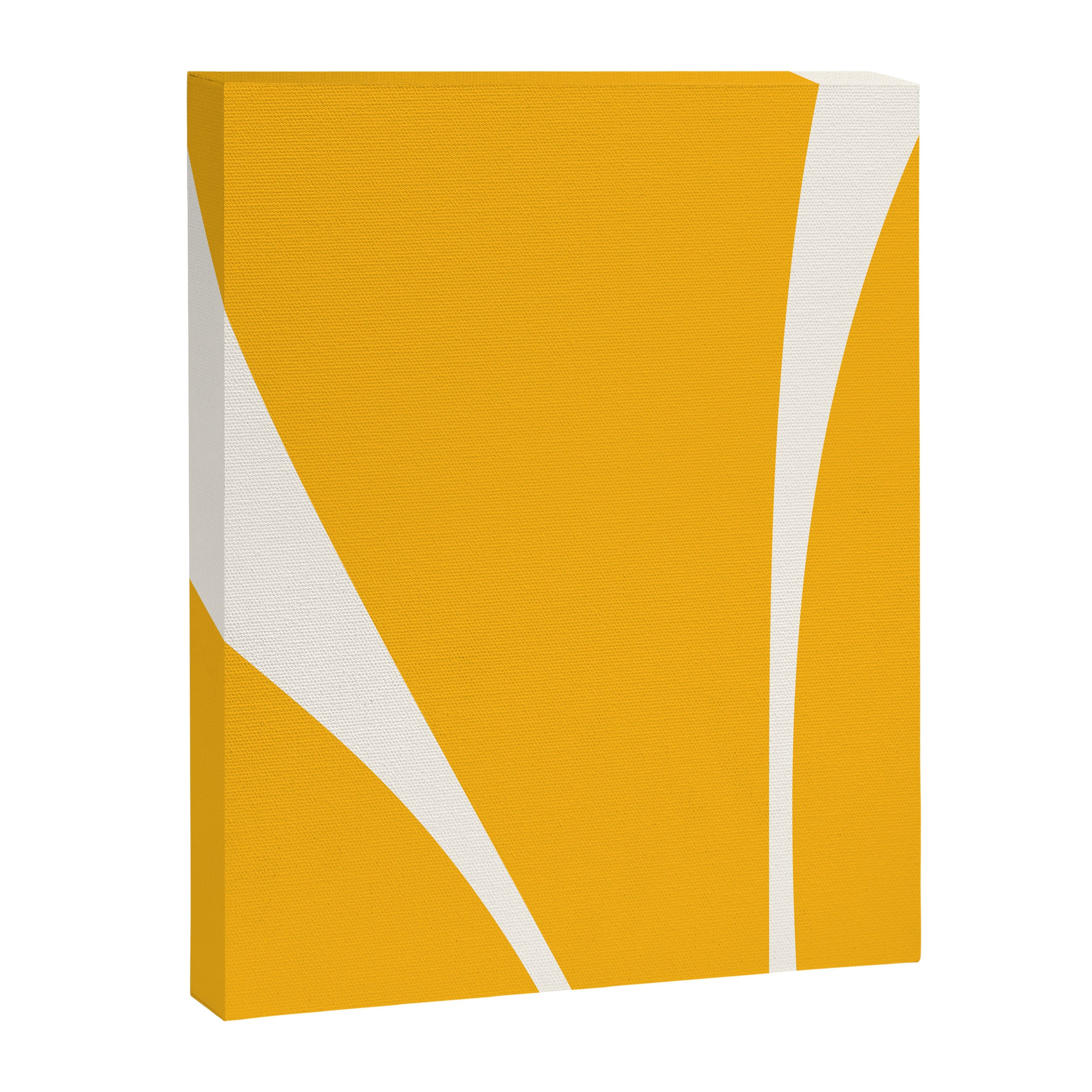 Minimalist Plant Abstract LI Canvas Print Gallery Image 8
