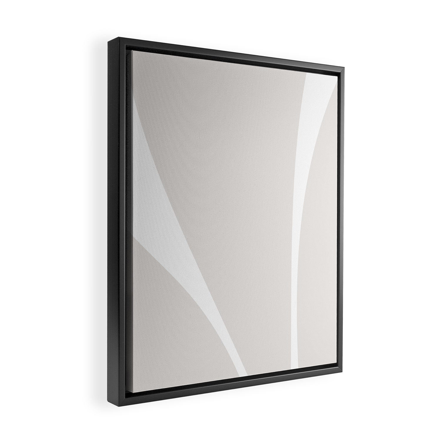 Minimalist Plant Abstract XLIII Framed Canvas Print Gallery Image 2