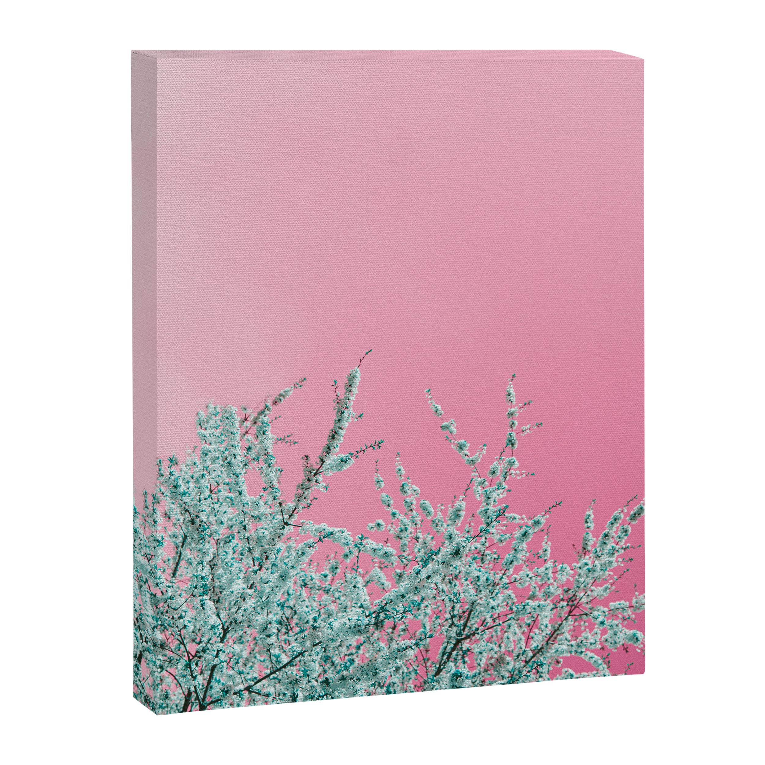 "cherry blossoms" Canvas Print Gallery Image 6