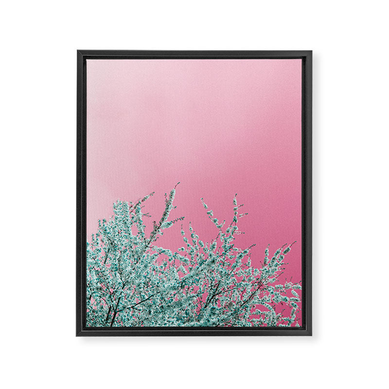 "cherry blossoms" Framed Canvas Print Gallery Image 6