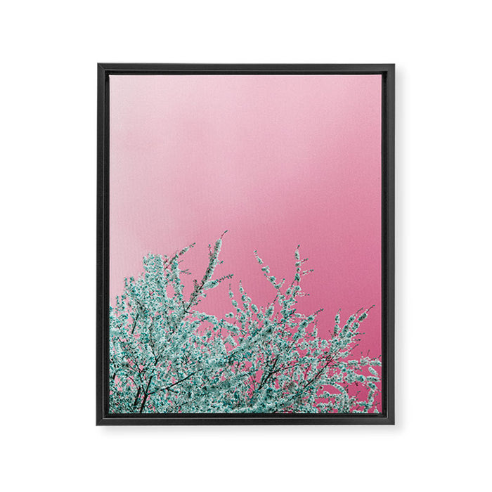 "cherry blossoms" Framed Canvas Print Gallery Image 1