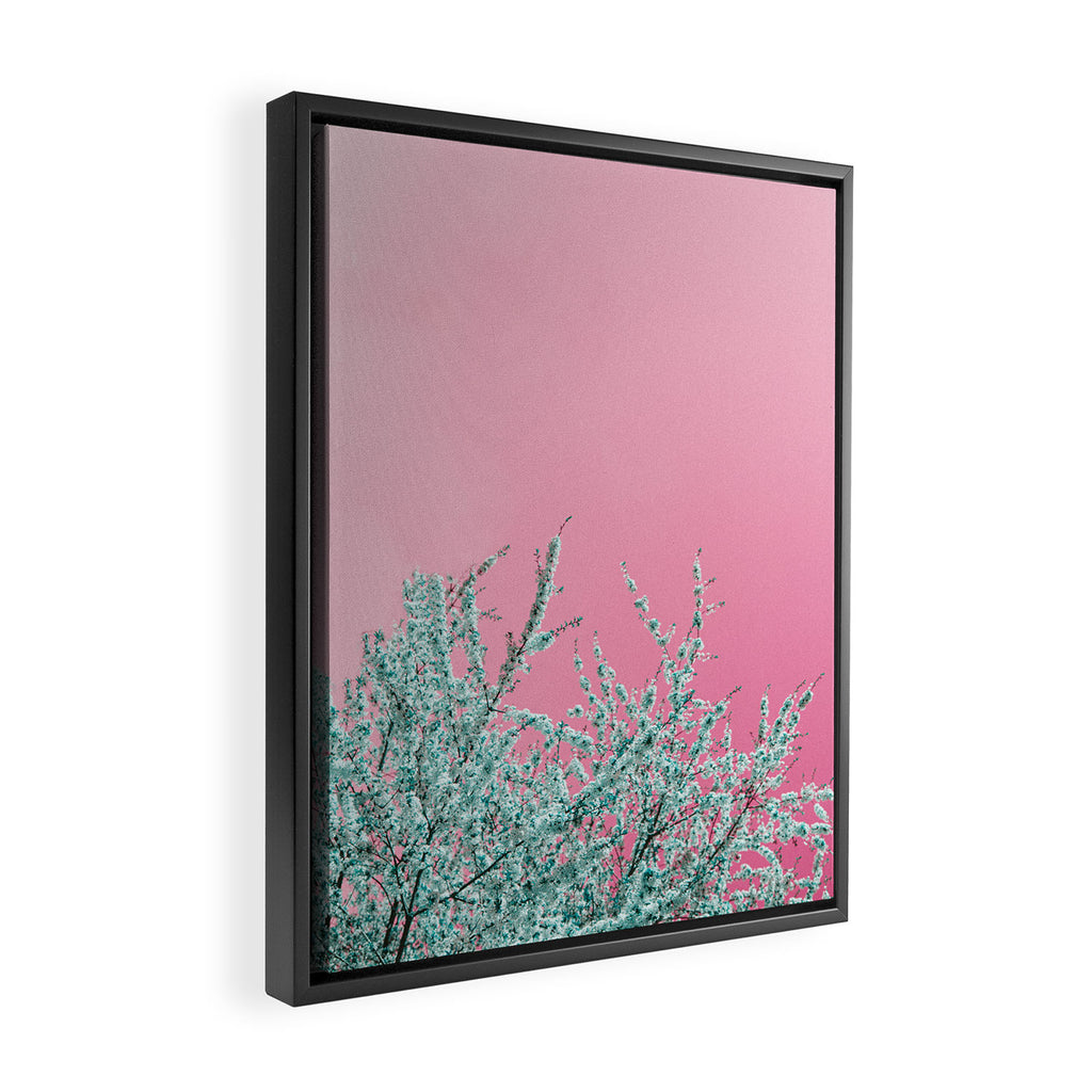 "cherry blossoms" Framed Canvas Print Gallery Image 2