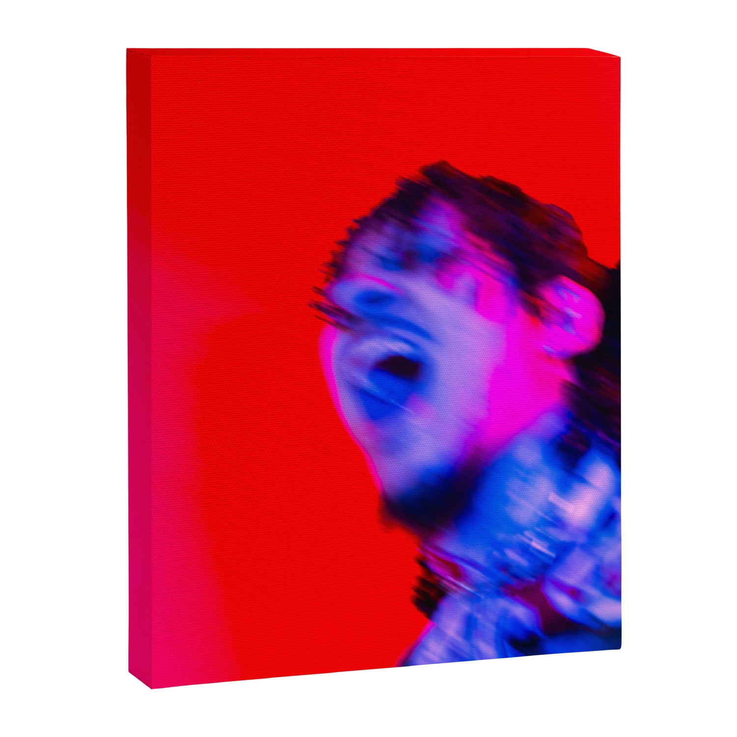 "fixation" Canvas Print Gallery Image 6