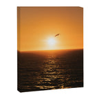"flying solo" Canvas Print Gallery Image 6