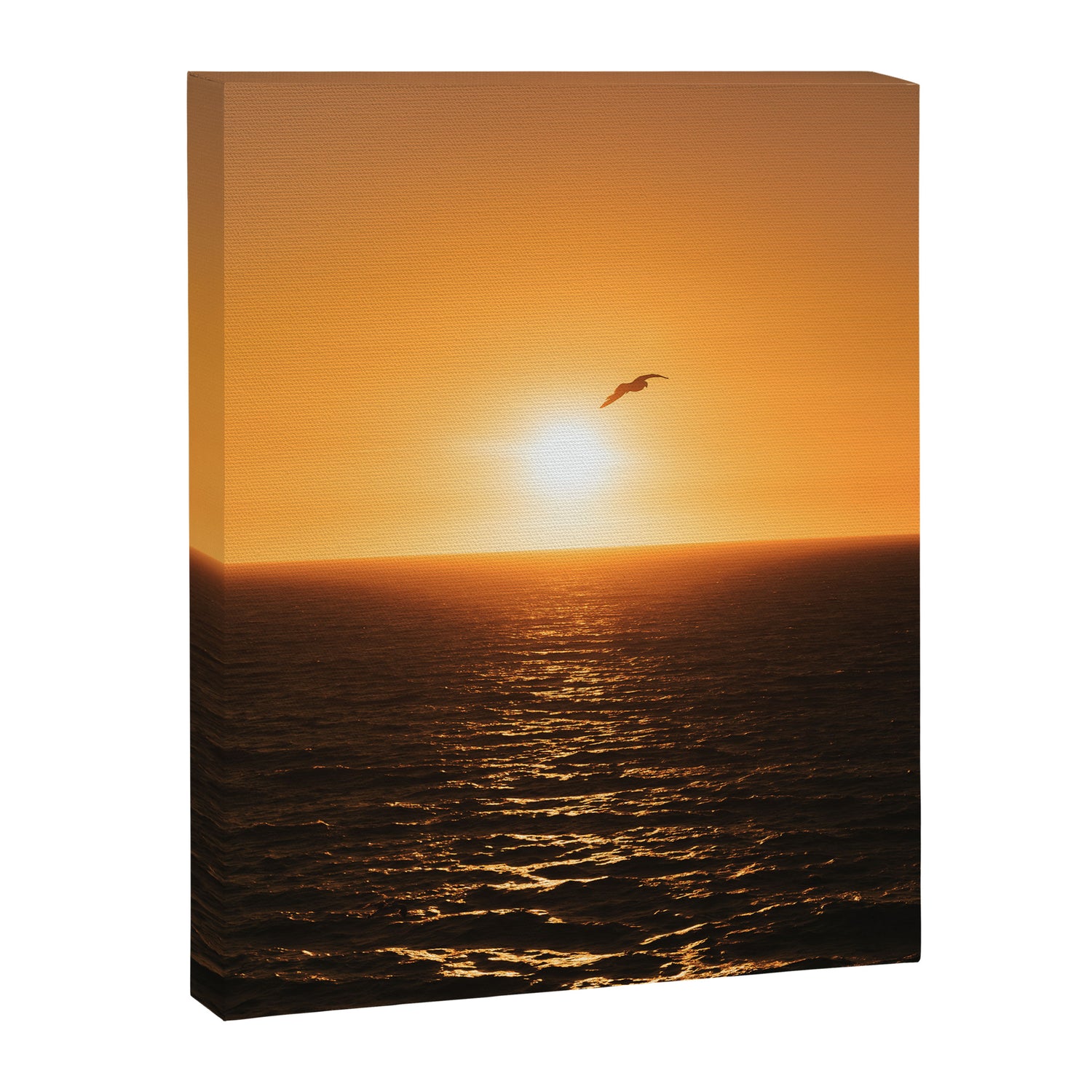 "flying solo" Canvas Print Gallery Image 6