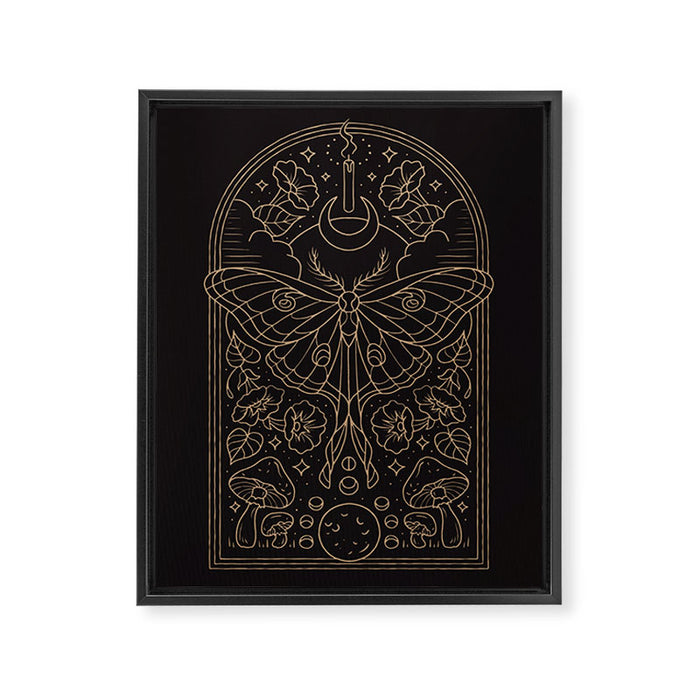 Moon Moth Framed Canvas Print Gallery Image 1