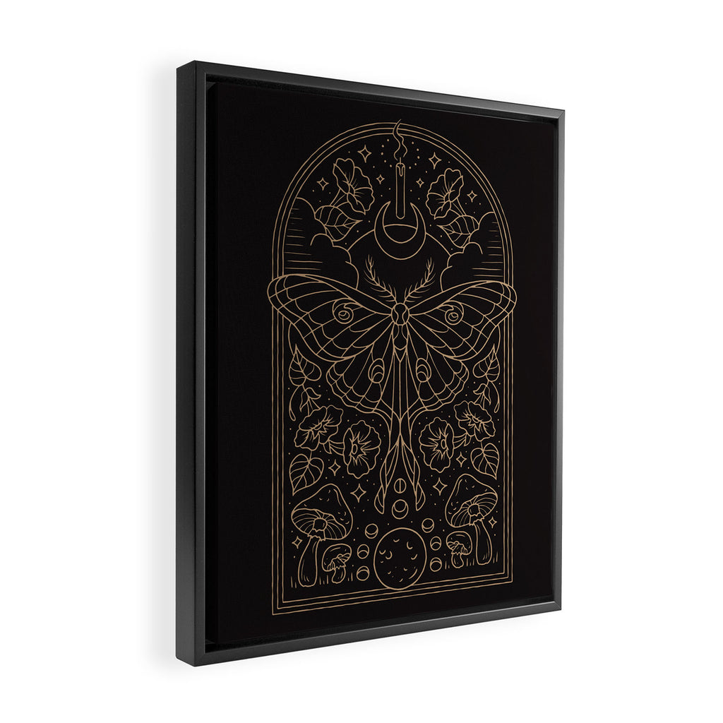 Moon Moth Framed Canvas Print Gallery Image 2
