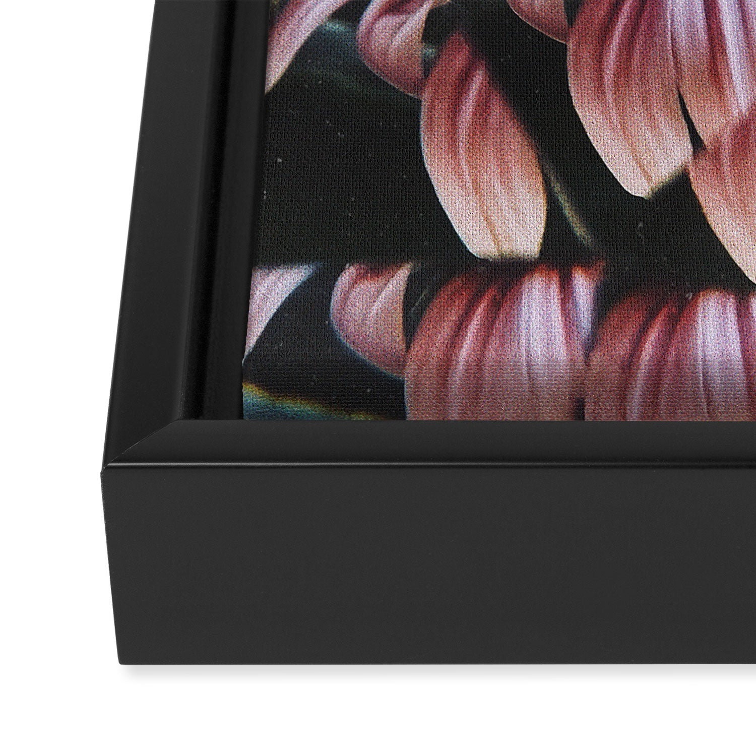 a dreamy summer solstice Framed Canvas Print Gallery Image 3