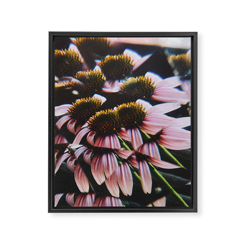 a dreamy summer solstice Framed Canvas Print Gallery Image 6