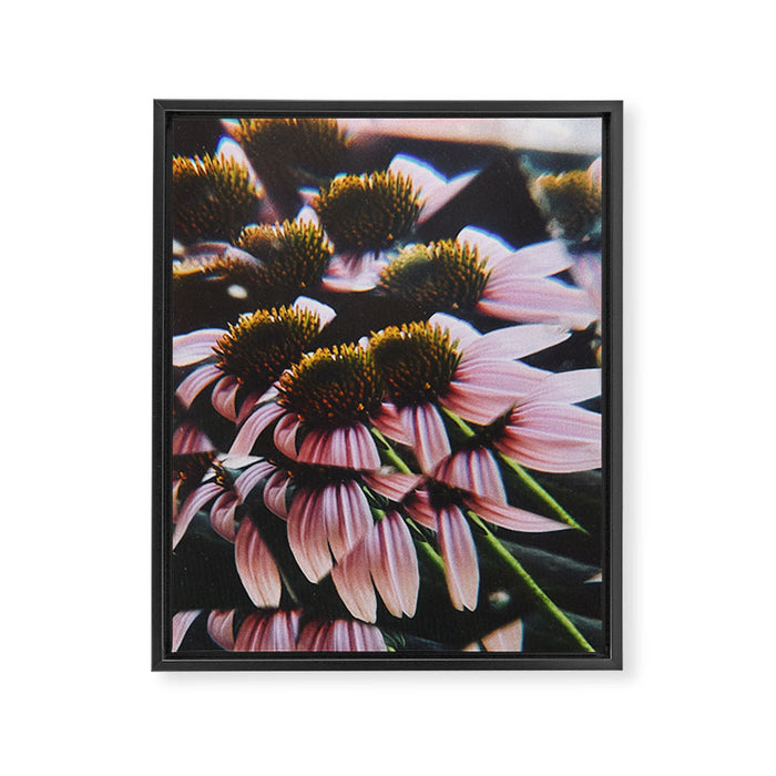 a dreamy summer solstice Framed Canvas Print Gallery Image 1
