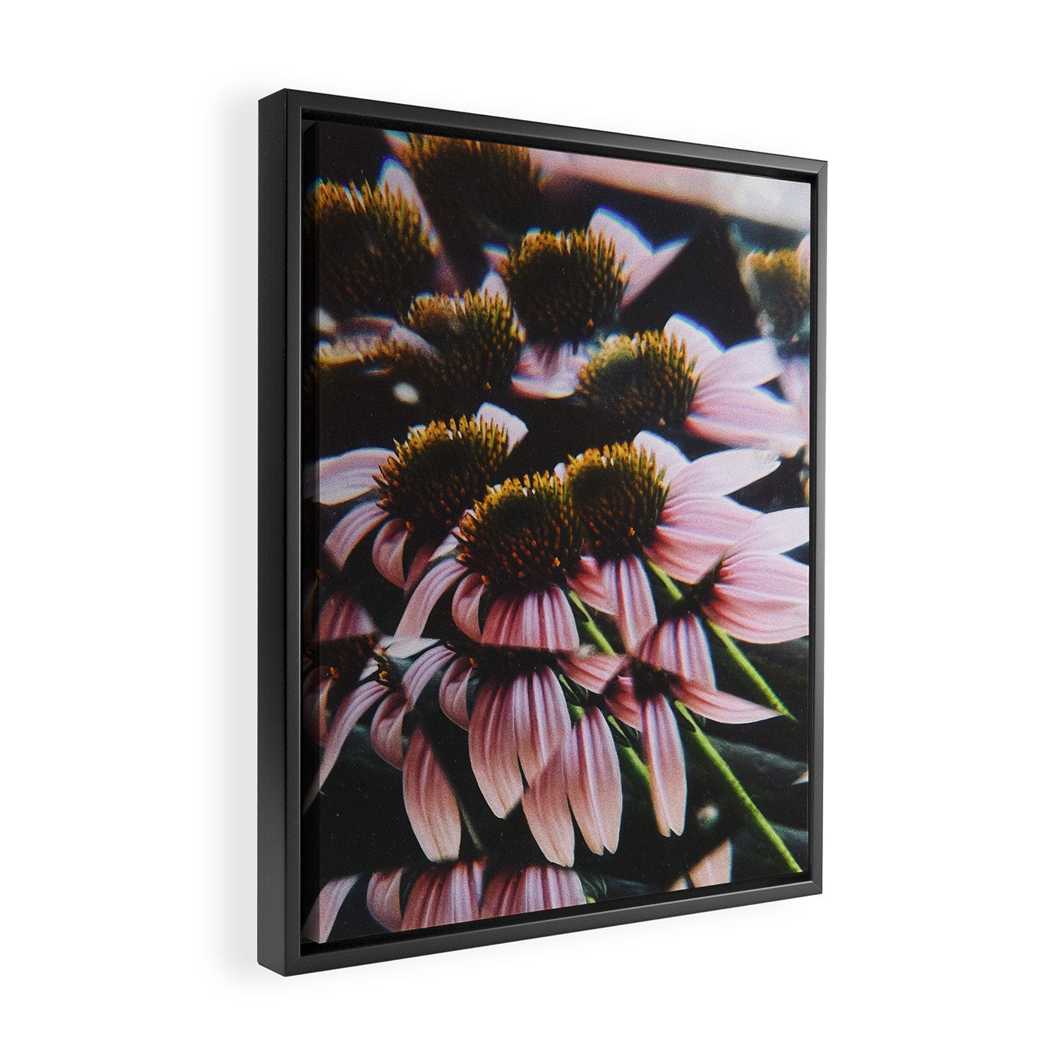 a dreamy summer solstice Framed Canvas Print Gallery Image 2