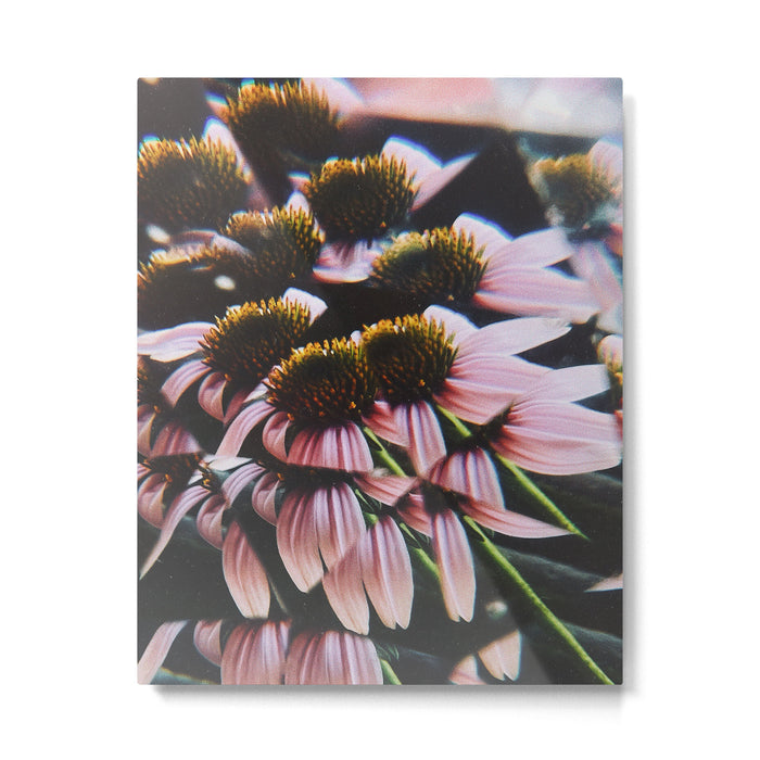 a dreamy summer solstice Metal Print Gallery Image 1