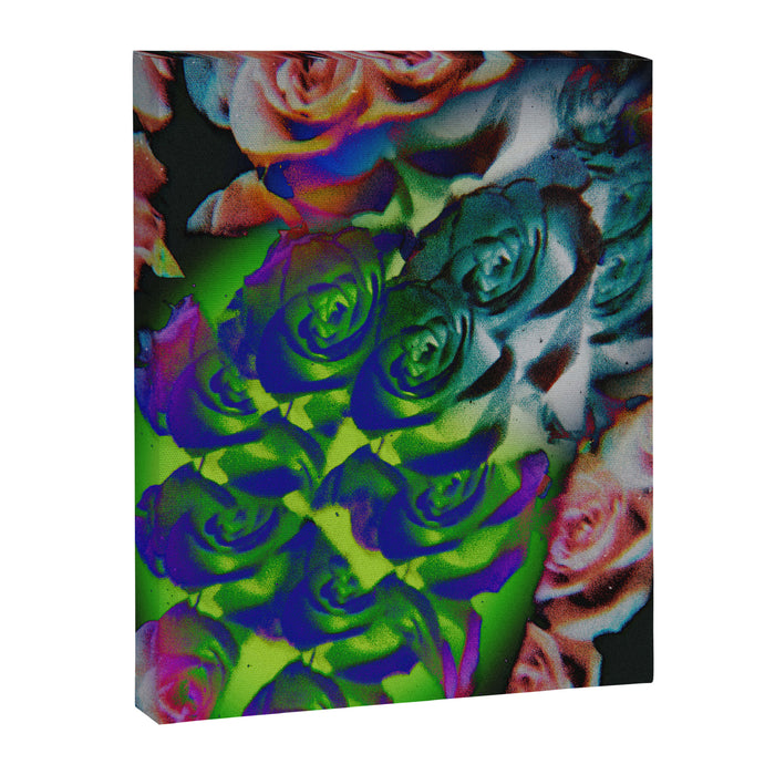 A secret Place Canvas Print Gallery Image 1