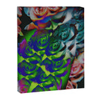A secret Place Canvas Print Gallery Image 6