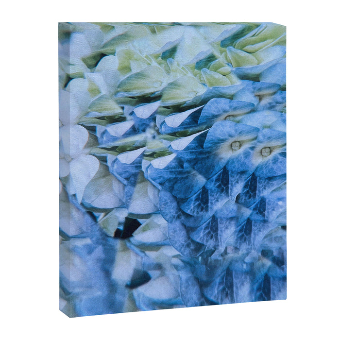 Allene Canvas Print Gallery Image 1