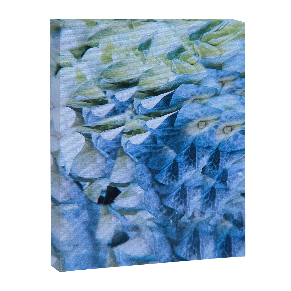 Allene Canvas Print Gallery Image 6