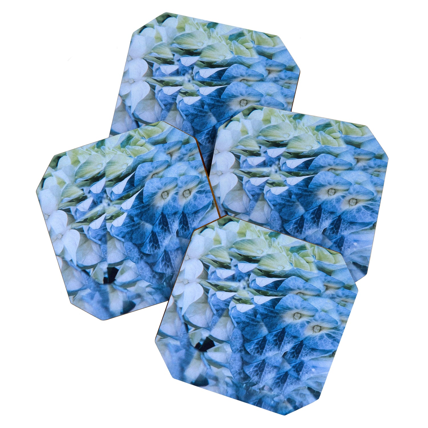 Allene Coaster Gallery Image 1