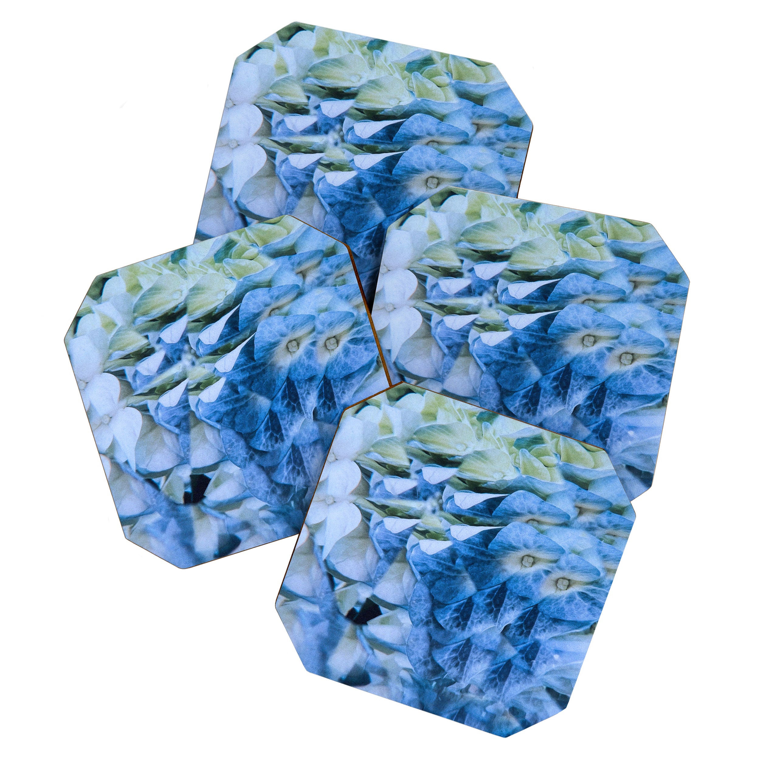 Allene Coaster Gallery Image 1