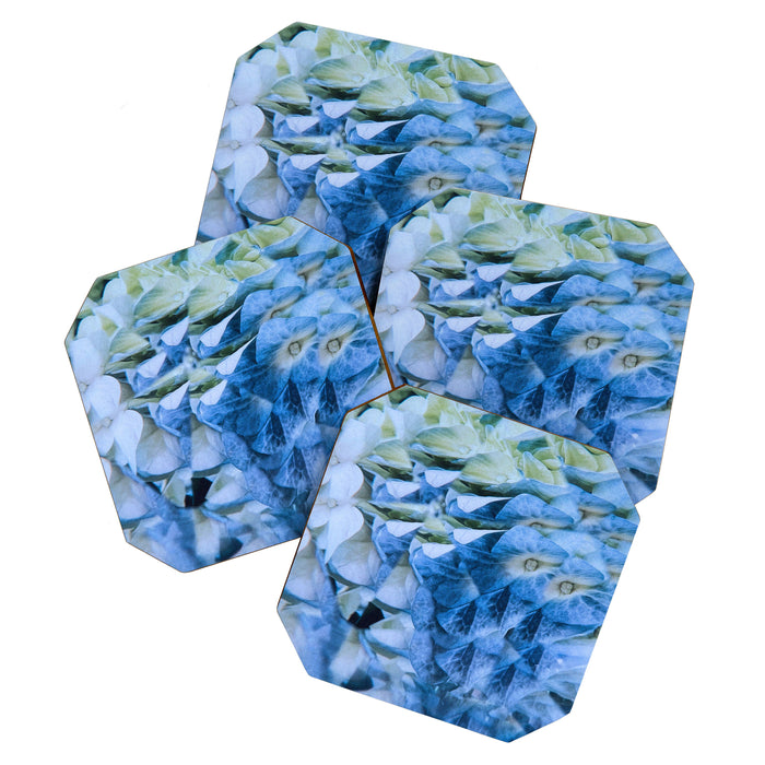 Allene Coaster Gallery Image 1