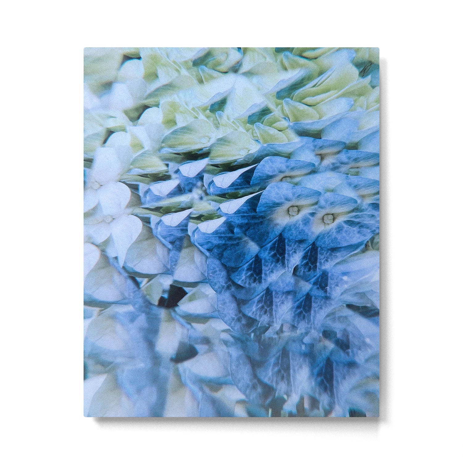 Allene Metal Print Gallery Image 4