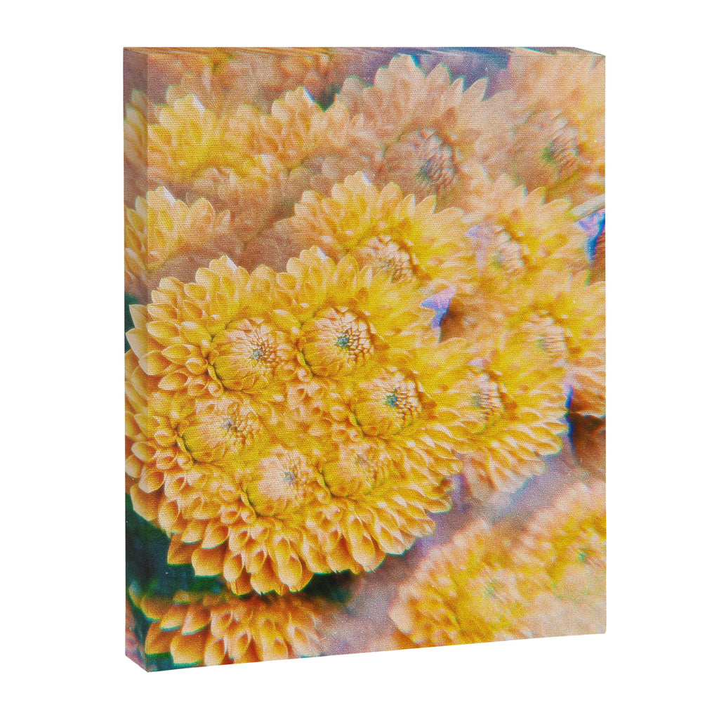Amber Canvas Print Gallery Image 6