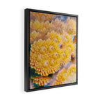 Amber Framed Canvas Print Gallery Image 2