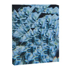 Breath of Fresh Air Canvas Print Gallery Image 6