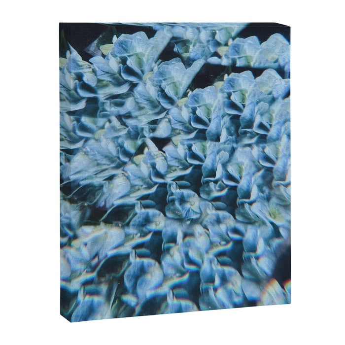 Breath of Fresh Air Canvas Print Gallery Image 1