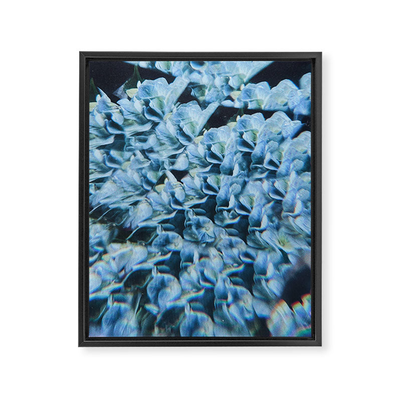 Breath of Fresh Air Framed Canvas Print Gallery Image 6